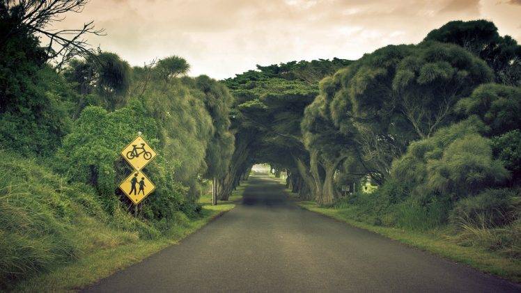 road, Trees, Signs HD Wallpaper Desktop Background