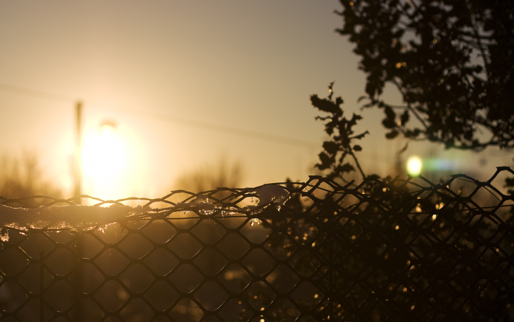 sunlight, Fence, Sun, Sunrise, Yellow, Ice HD Wallpaper Desktop Background