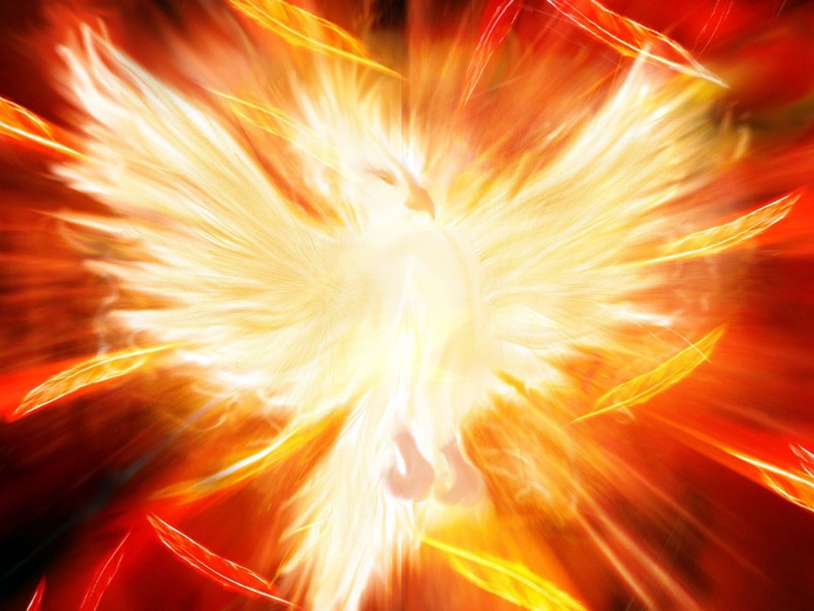 General Wallpaper