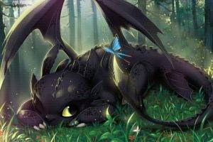 How To Train Your Dragon, Toothless