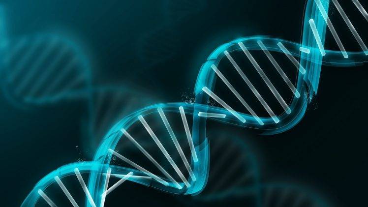 DNA, Genetics HD Wallpaper Desktop Background