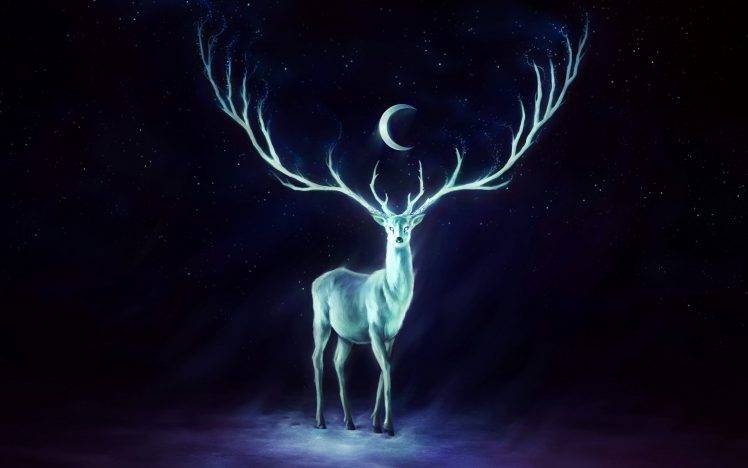 artwork, Crescent Moon, Deer, Antlers HD Wallpaper Desktop Background