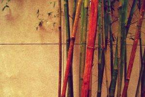 bamboo, Colorful