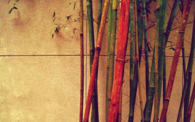 bamboo, Colorful HD Wallpaper Desktop Background