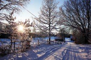 snow, Winter, Sunset, Dusk, Sweden