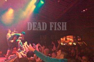Dead Fish, Hardcore, Brasil, Brazil