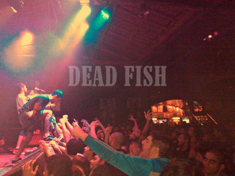 Dead Fish, Hardcore, Brasil, Brazil HD Wallpaper Desktop Background