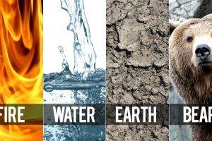 fire, Water, Earth, Bears, Elements, Air, Panels