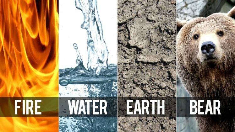 fire, Water, Earth, Bears, Elements, Air, Panels Wallpapers HD / Desktop  and Mobile Backgrounds