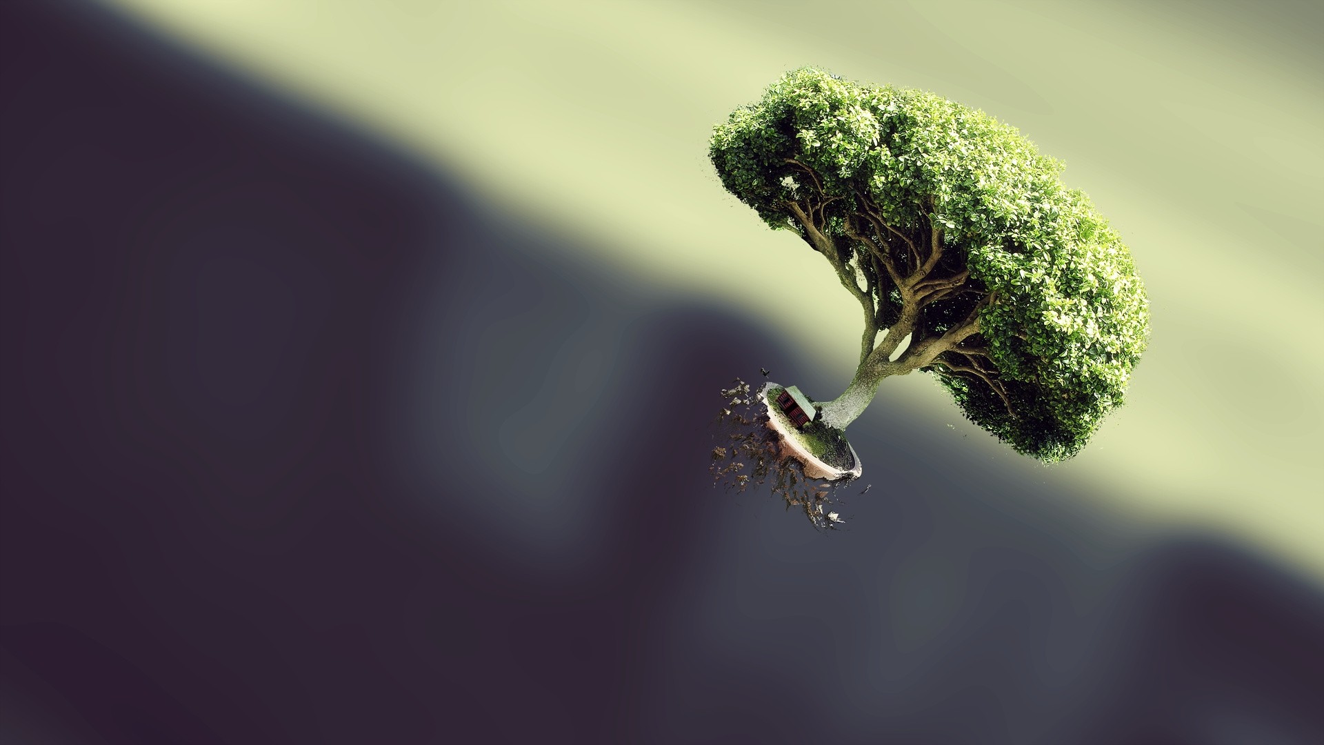 simple Background, Bonsai, Floating, Blurred, Trees Wallpaper