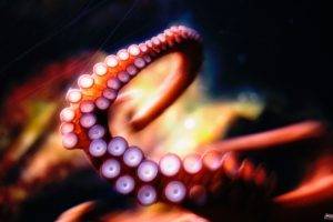 tentacles, Octopus