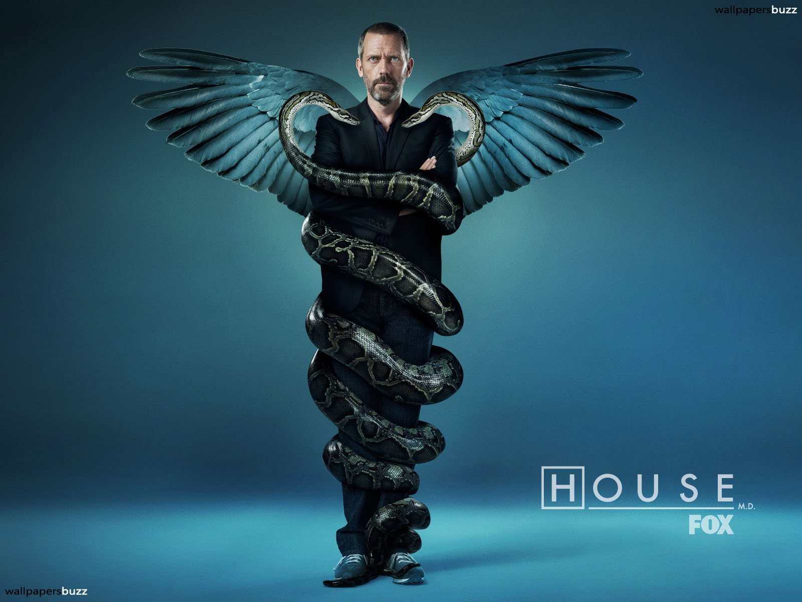 House, M.D., Gregory House Wallpaper