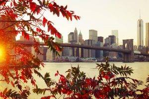 fall, City, New York City, Sunlight, Bridge, Leaves