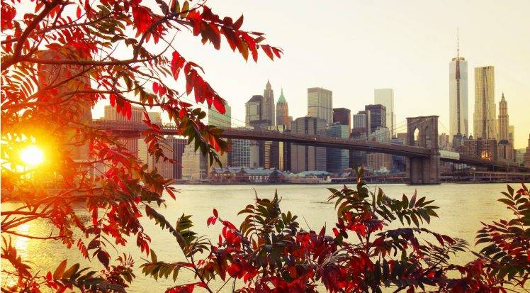 fall, City, New York City, Sunlight, Bridge, Leaves HD Wallpaper Desktop Background