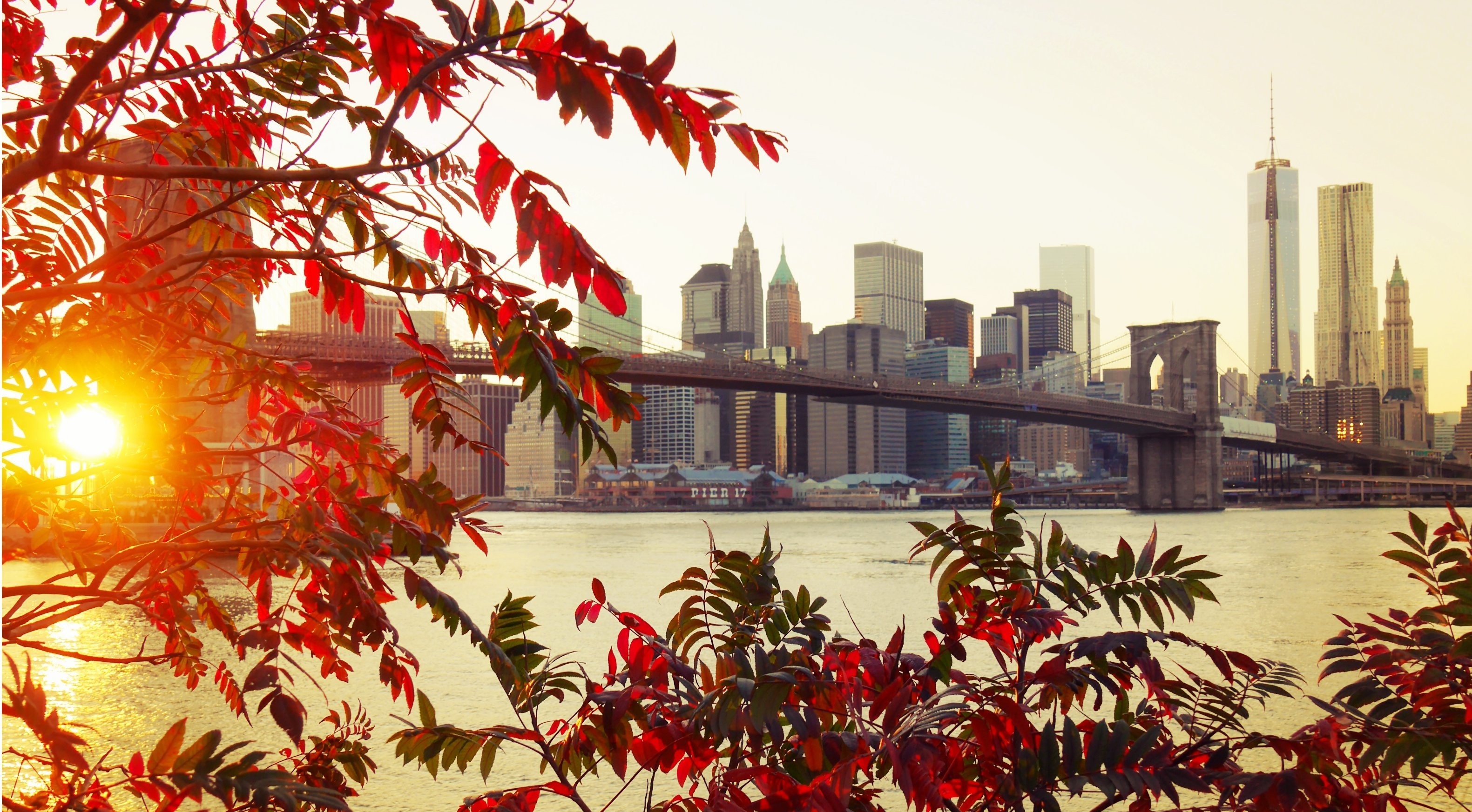 fall, City, New York City, Sunlight, Bridge, Leaves Wallpaper