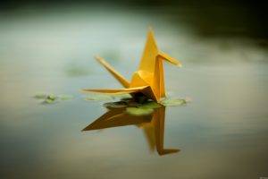 origami, Paper Cranes, Reflection, Water