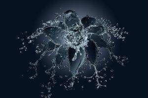 water Drops, Water, Koloskov