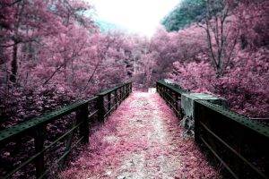bridge, Infrared