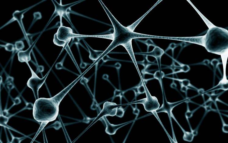 neurons HD Wallpaper Desktop Background