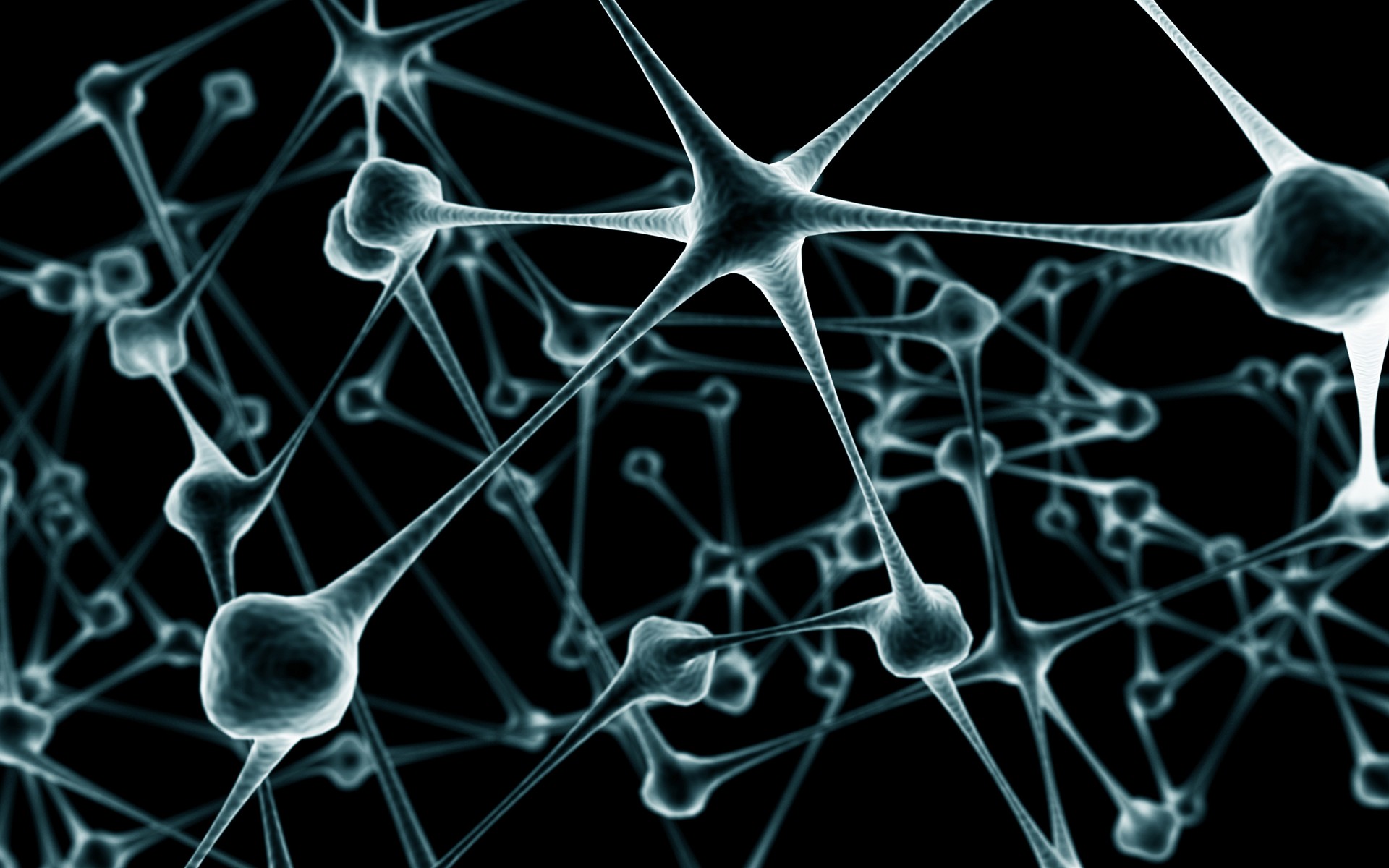 neurons Wallpaper