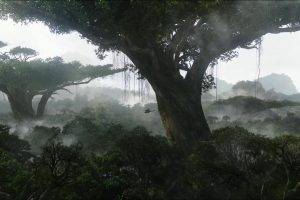 Avatar, Trees