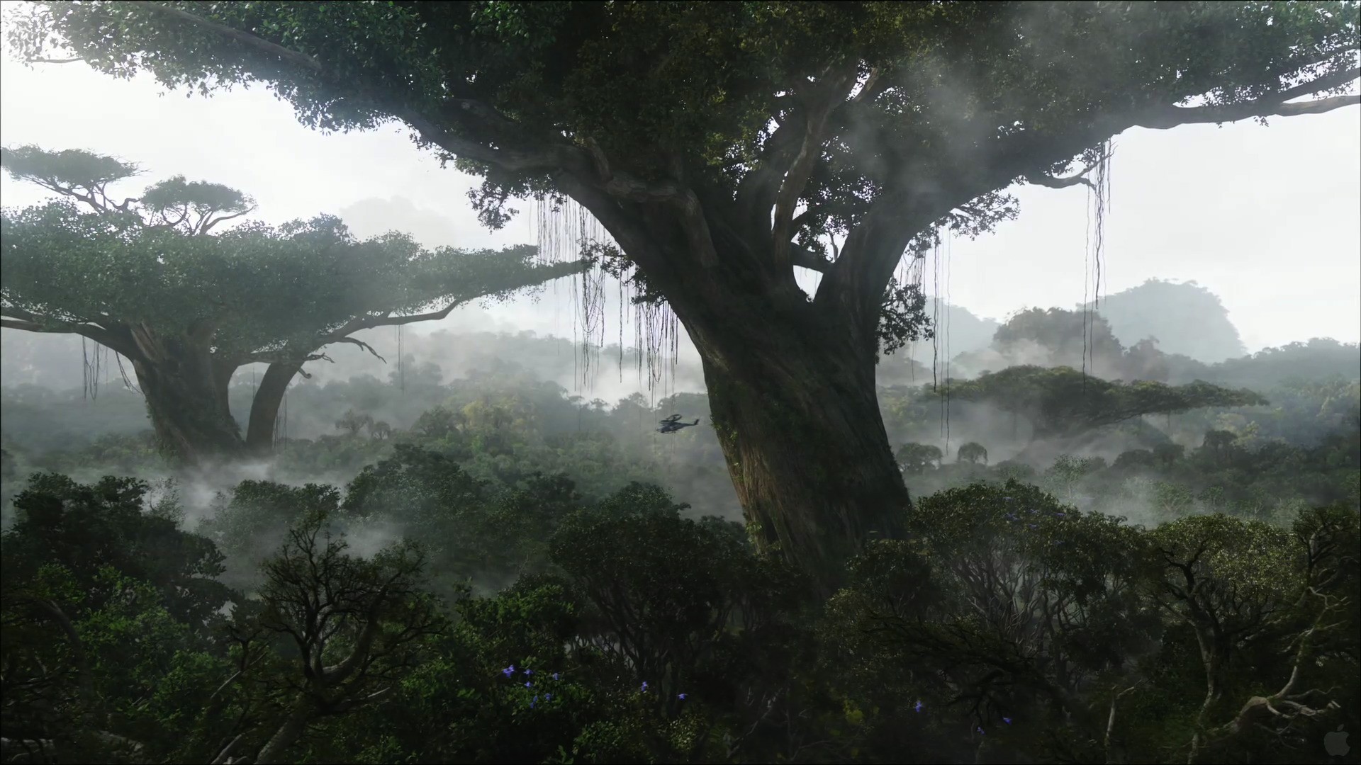 Avatar, Trees Wallpaper