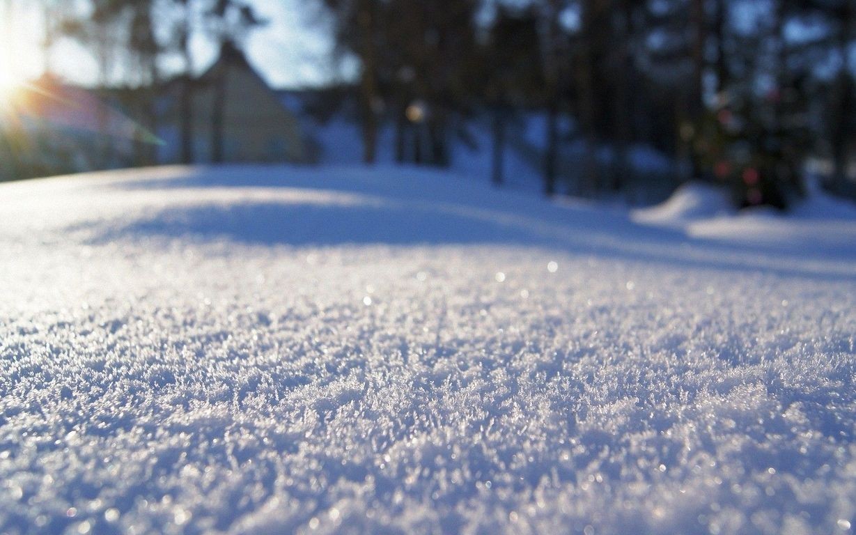 depth Of Field, Snow, Winter Wallpaper
