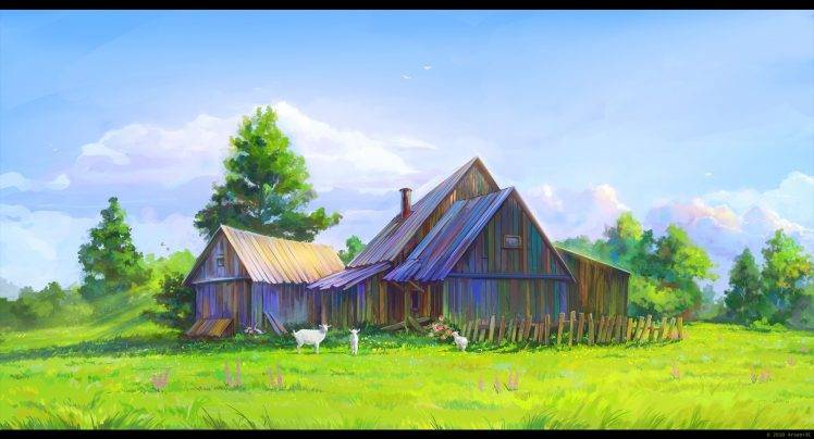 barns, Sheep HD Wallpaper Desktop Background