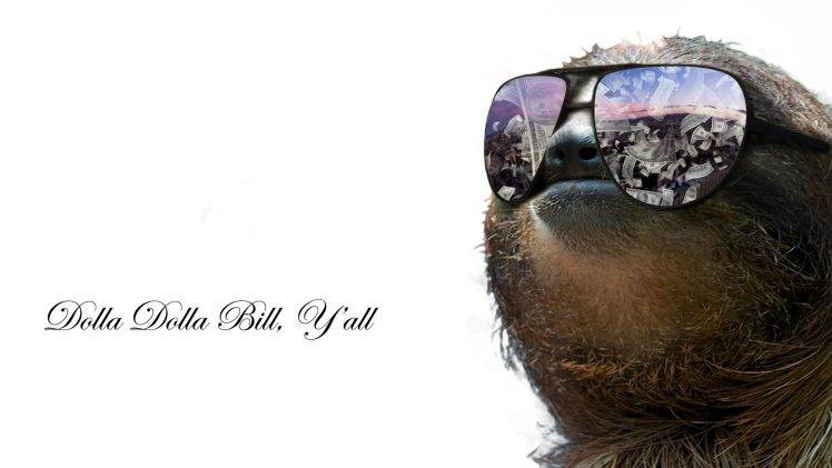sloths HD Wallpaper Desktop Background