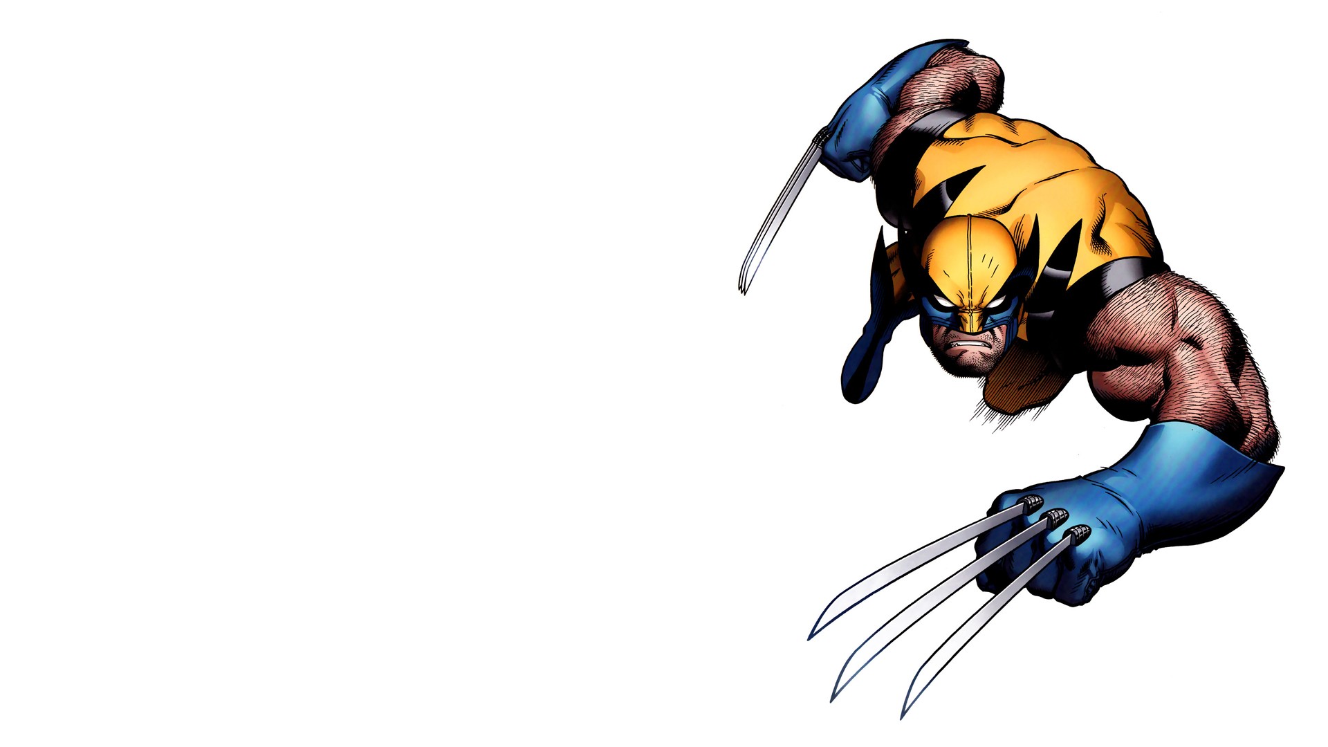 Wolverine, White Background Wallpaper