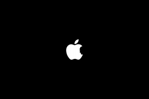 Apple Inc., Minimalism