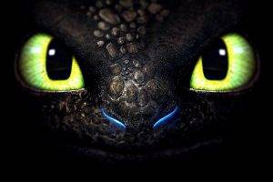 How To Train Your Dragon, Toothless, Dragon
