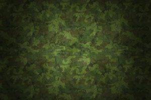camouflage, Chamomile