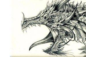 dragon, White Background, Pencils