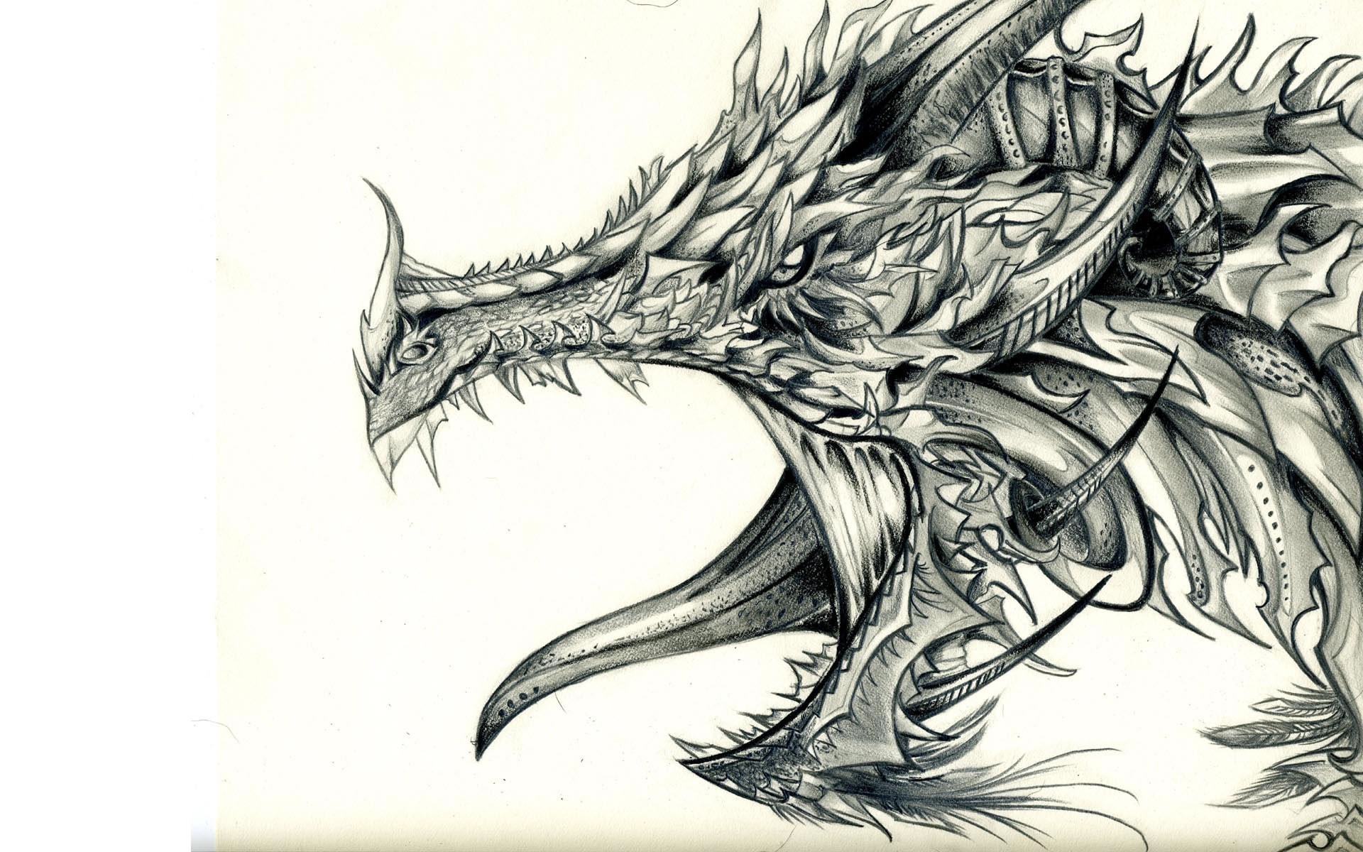 dragon, White Background, Pencils Wallpaper