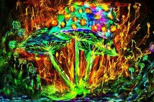 mushroom, Colorful, Psychedelic