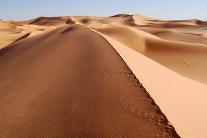 sand, Desert, Tracks, Dune