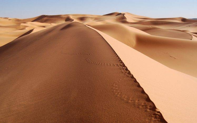 sand, Desert, Tracks, Dune HD Wallpaper Desktop Background