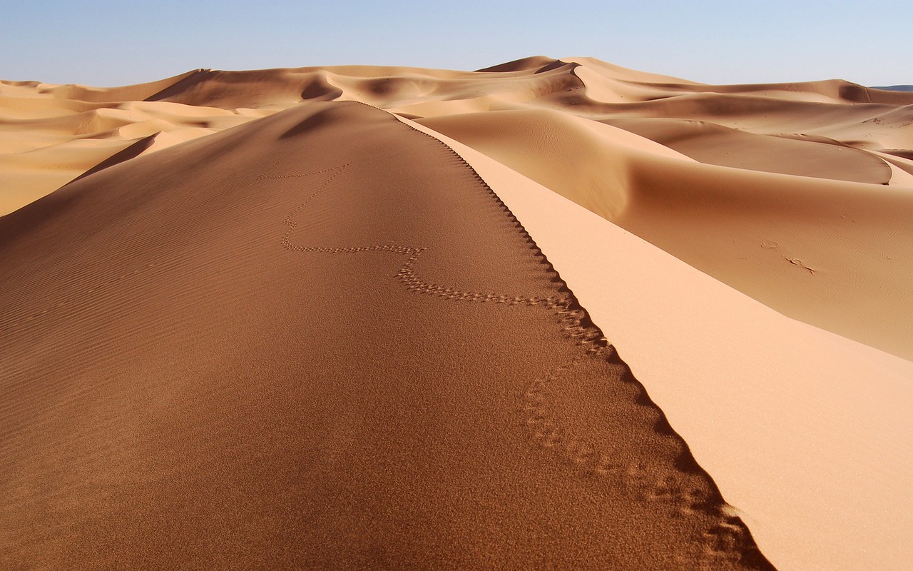 sand, Desert, Tracks, Dune Wallpaper