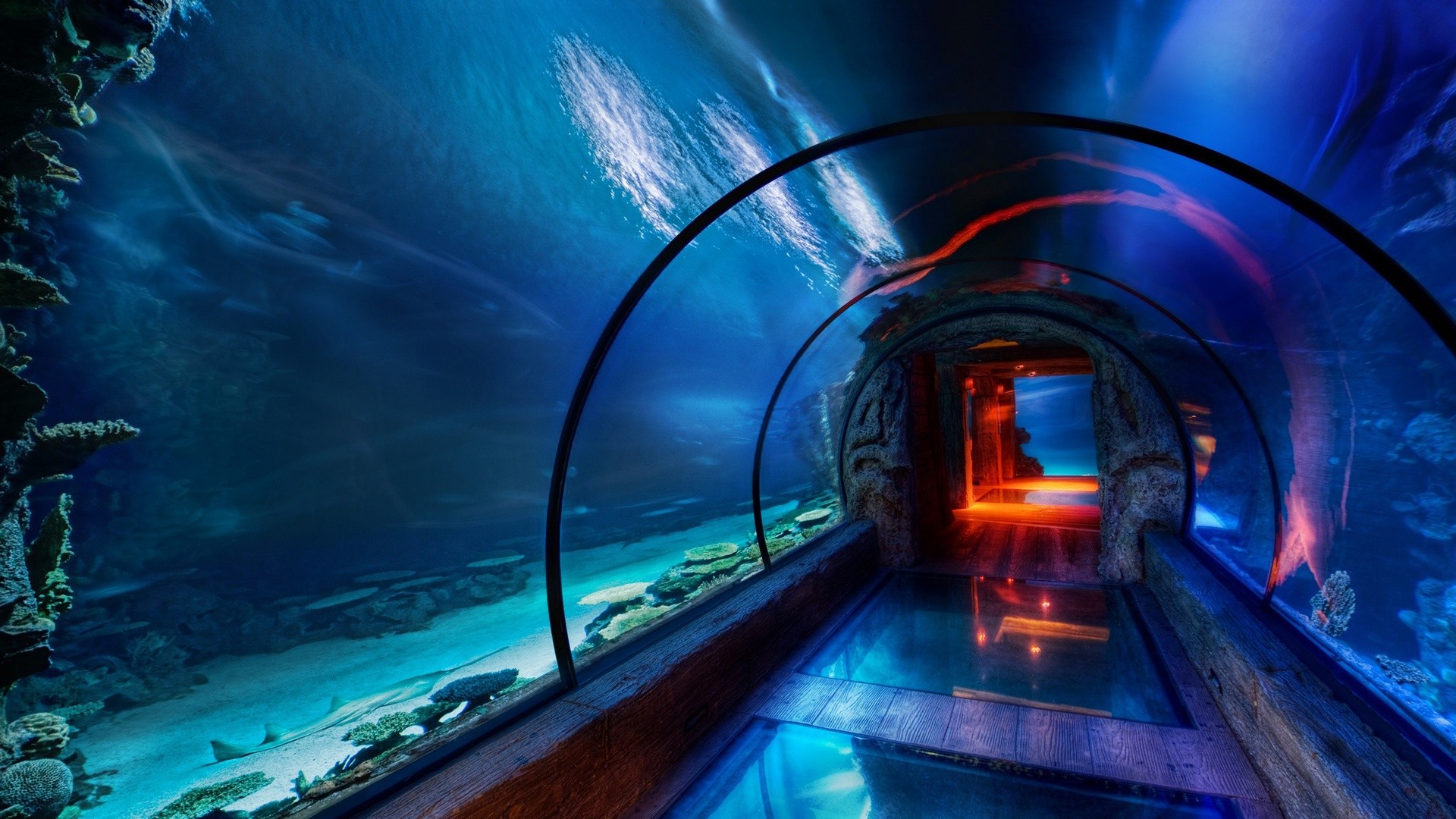 tunnel, Underwater, Blue, Aquarium Wallpaper