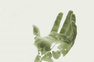 hand, Double Exposure, Leaves