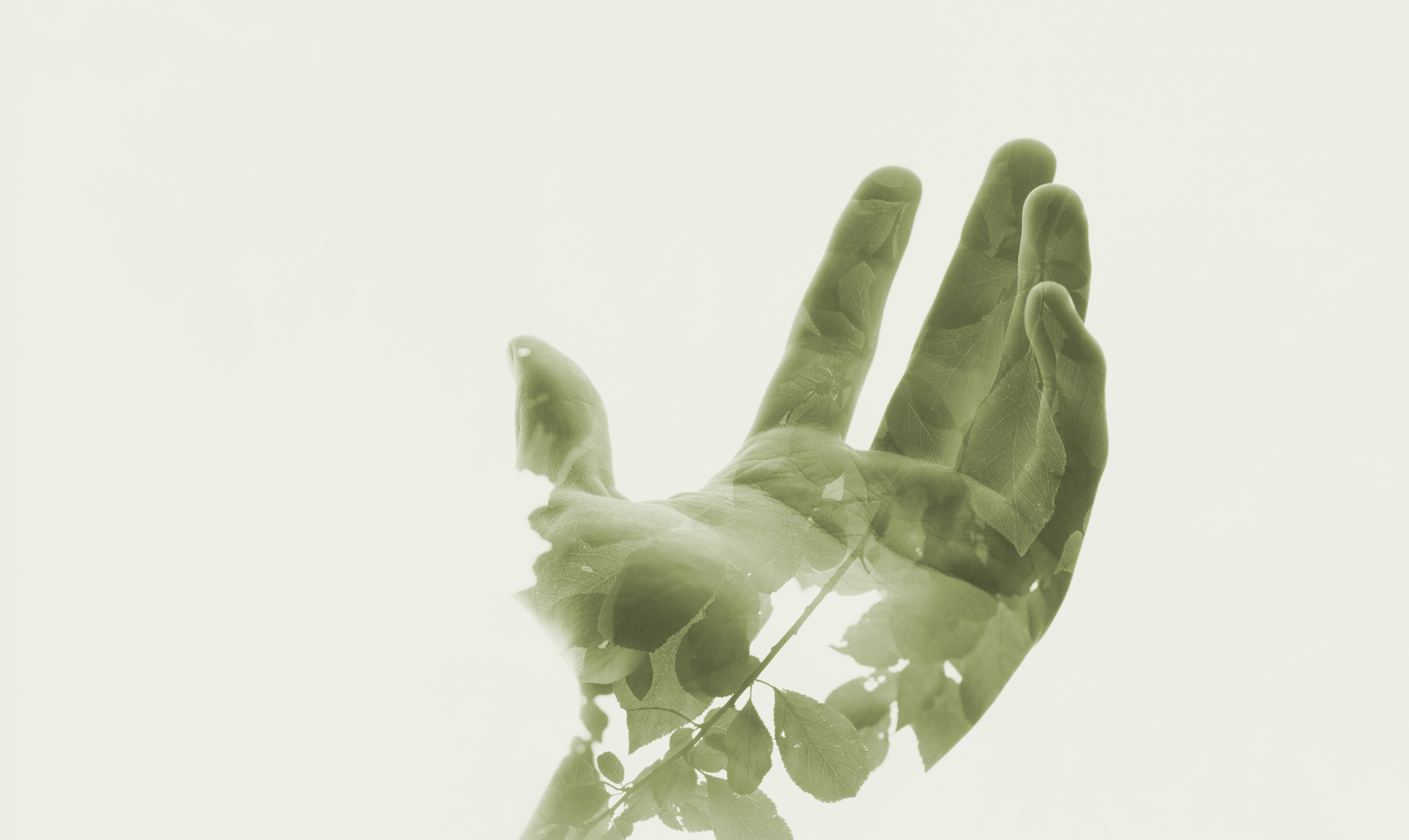 hand, Double Exposure, Leaves Wallpaper