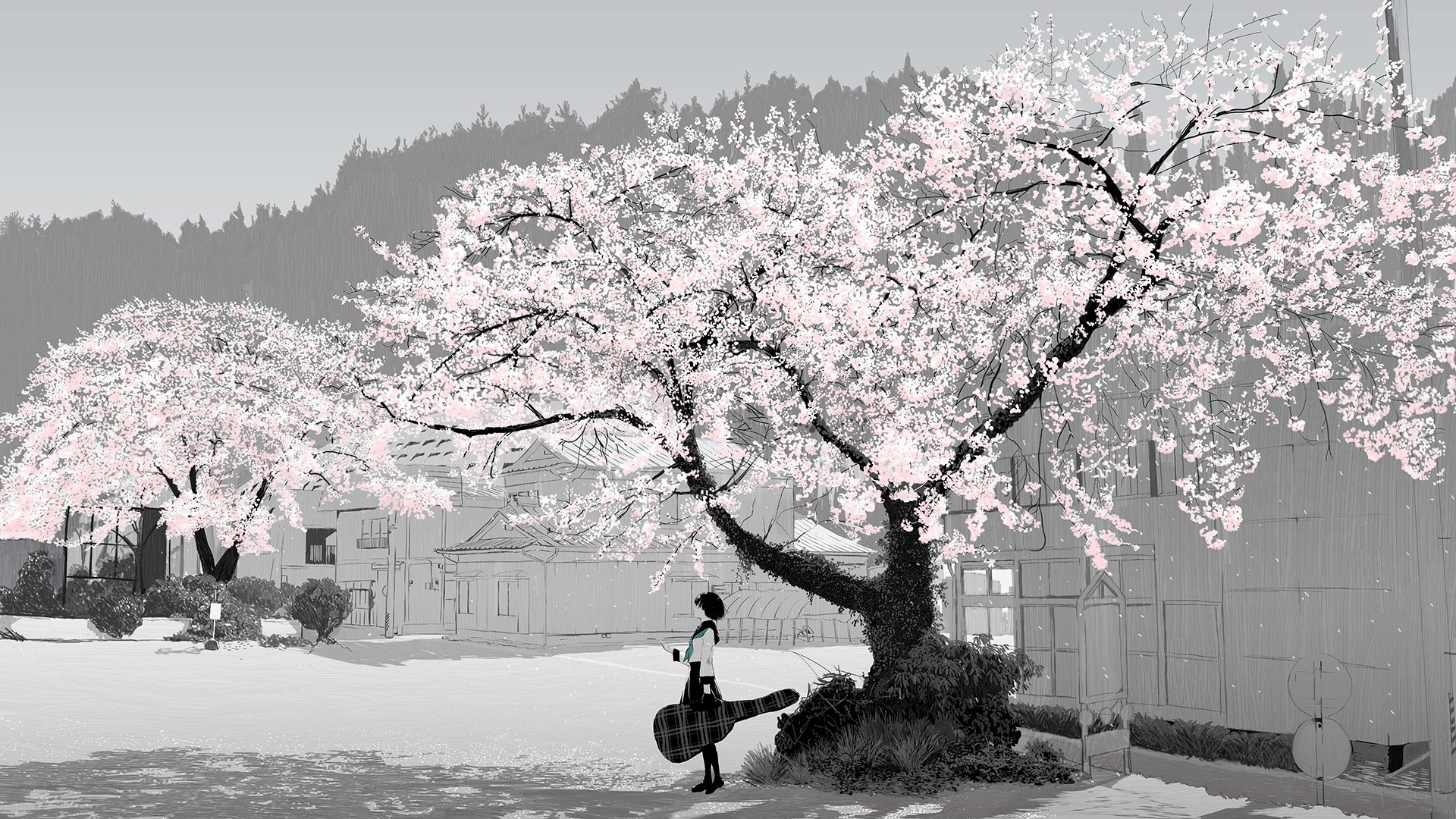 cherry Blossom, Anime Girls Wallpaper
