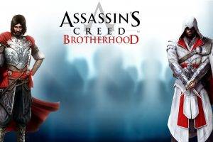 Assassins Creed: Brotherhood