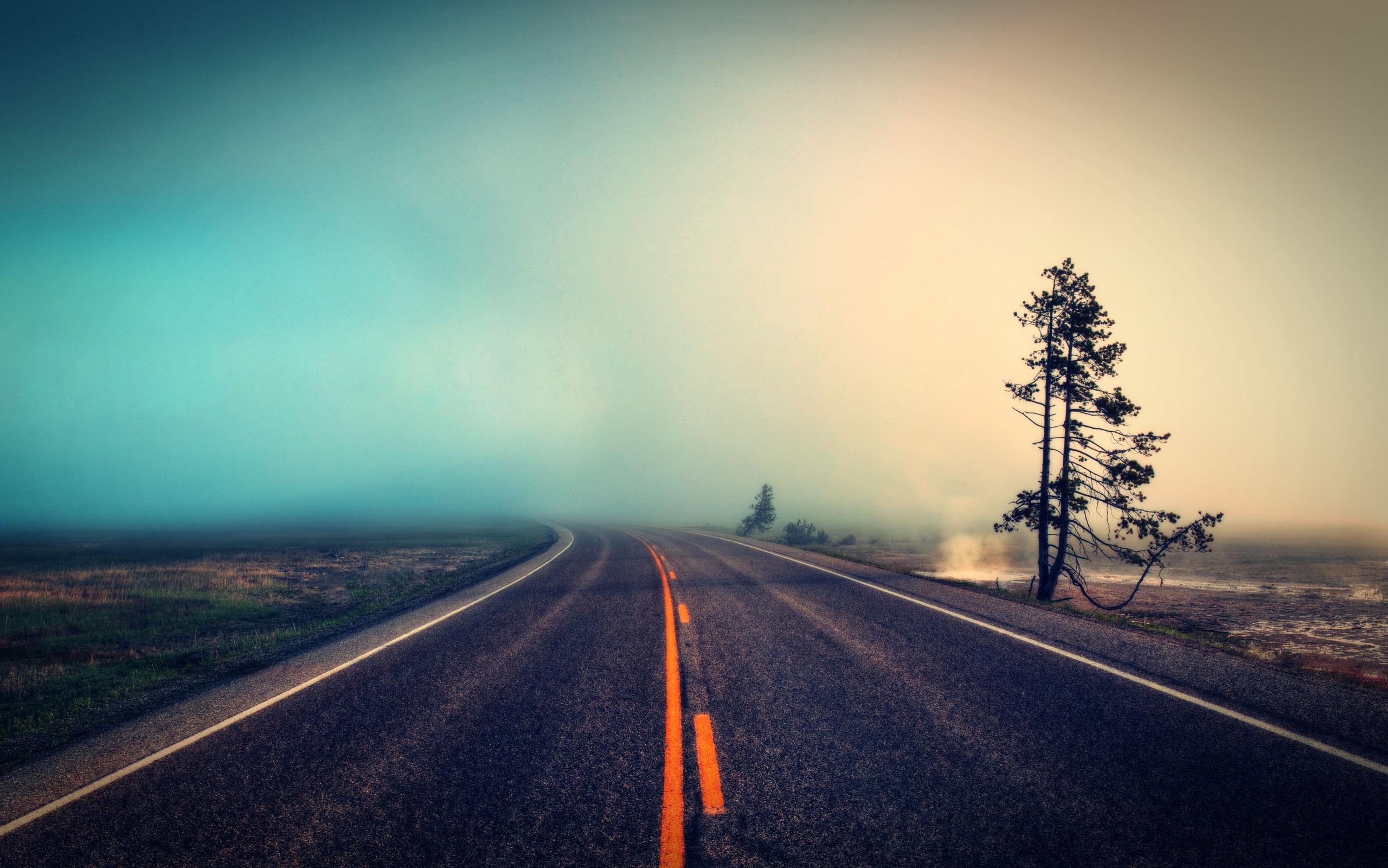 road, Mist Wallpaper