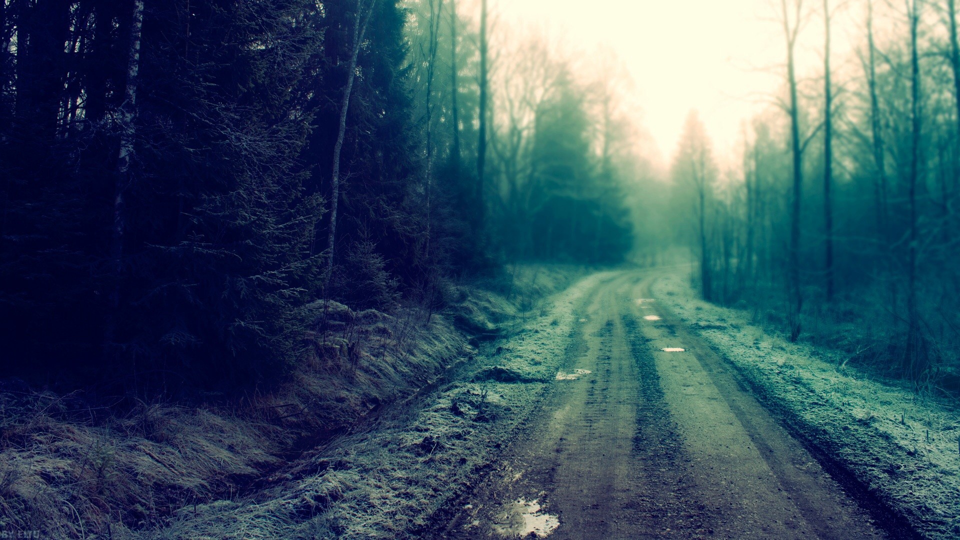 road, Mist, Dirty, Trees, Forest Wallpaper
