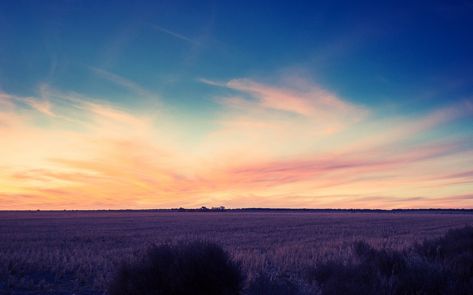 sky, Field, Sunset Wallpaper