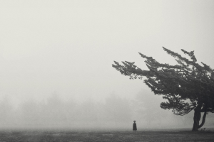 mist, Monochrome