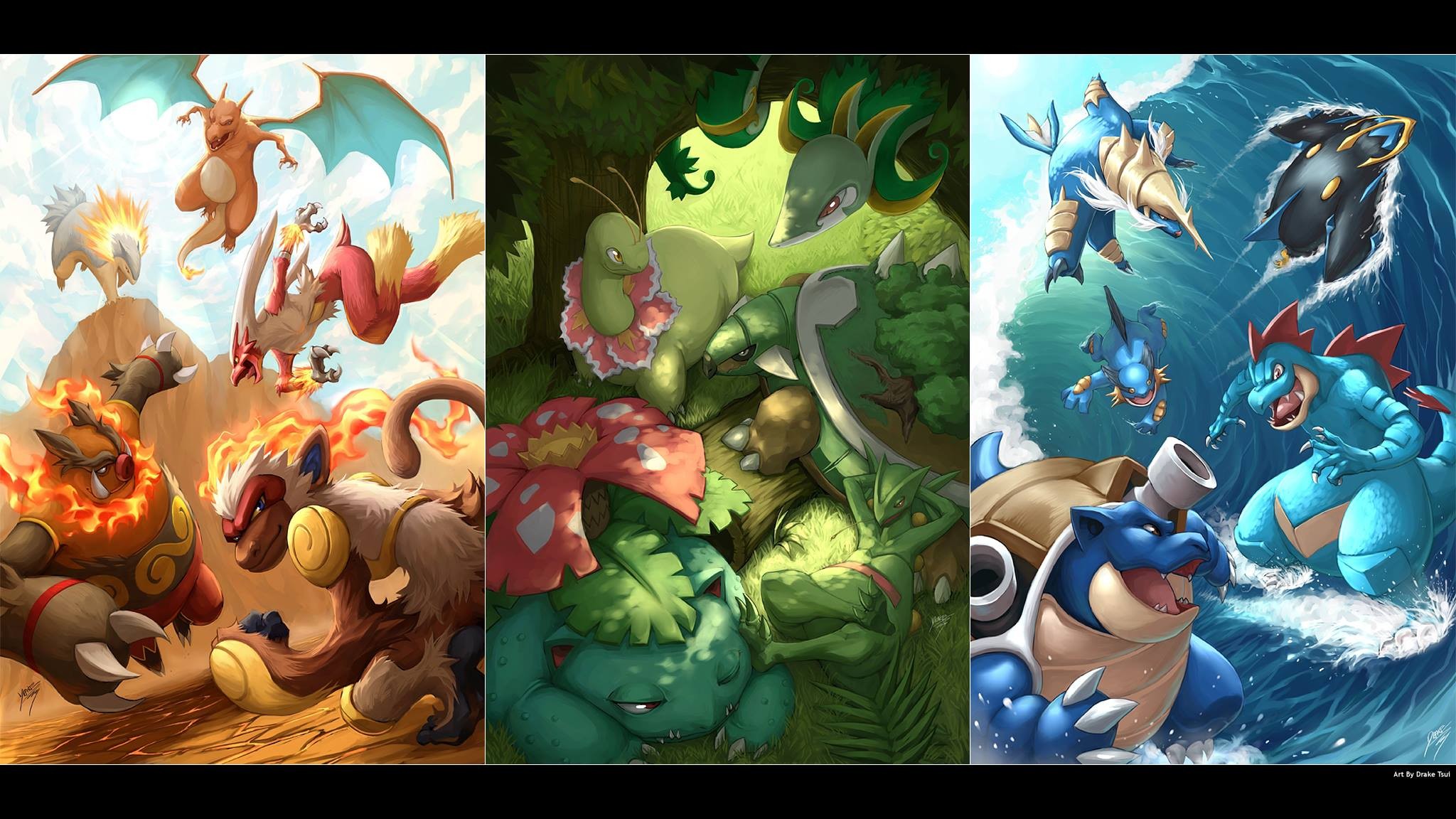 Dracaufeu, Torank, Florizare, Starters Wallpaper