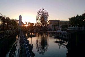 Disney, Mickey Mouse, Sunset, Reflection, Palm Trees, Ferris Wheel, California, Disneyland